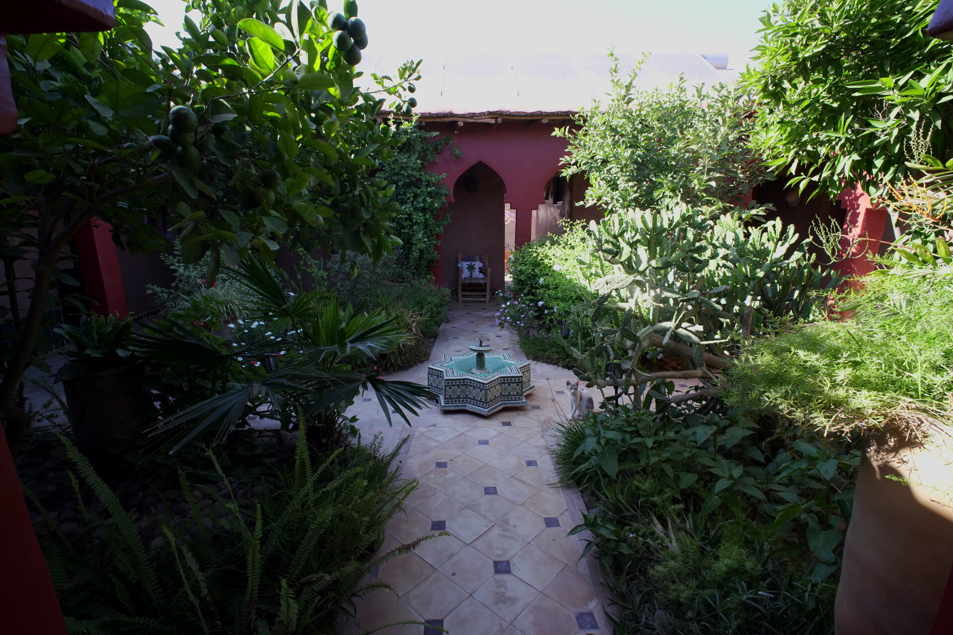 Patio du riad